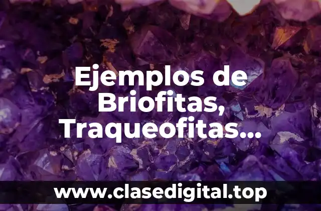 Ejemplos de Briofitas, Traqueofitas, Helechos, Coniferas y Angiospermas