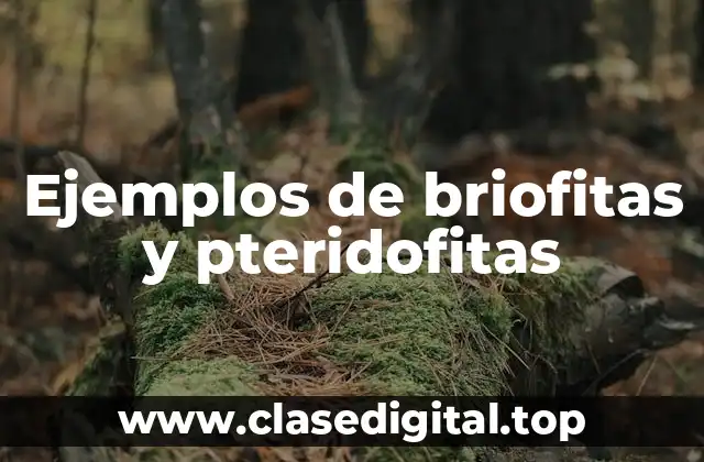 Ejemplos de briofitas y pteridofitas