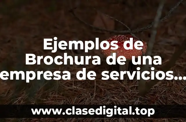 Ejemplos de brochura de una empresa de servicios