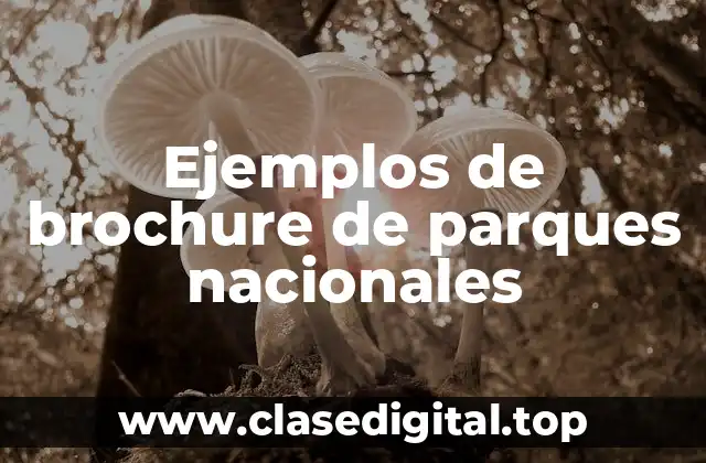 Ejemplos de brochure de parques nacionales