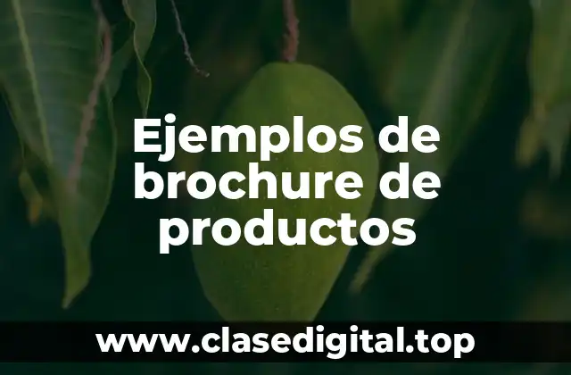 Ejemplos de brochure de productos