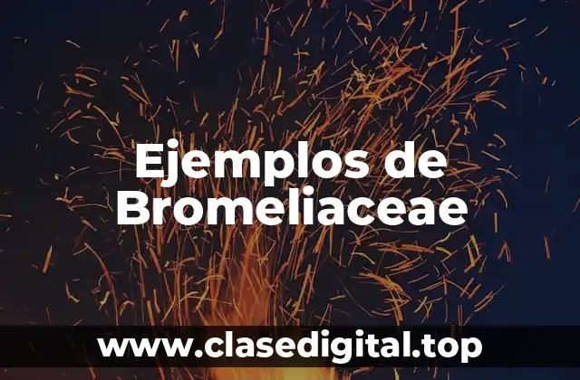 Ejemplos de Bromeliaceae