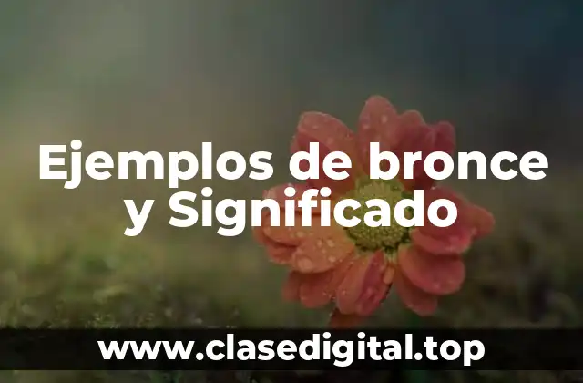 Ejemplos de bronce y Significado