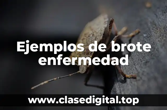 Ejemplos de brote enfermedad