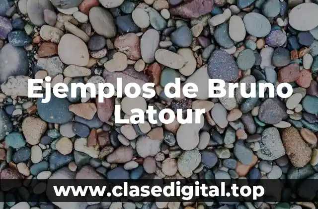 Ejemplos de Bruno Latour