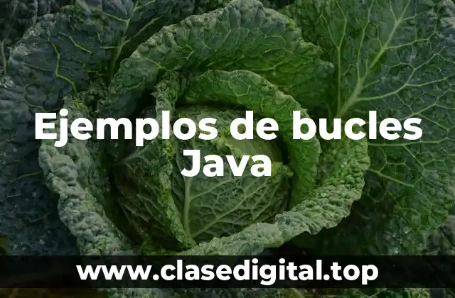 Ejemplos de bucles en Java