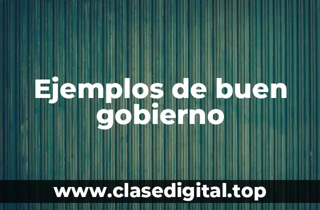 Ejemplos de buen gobierno