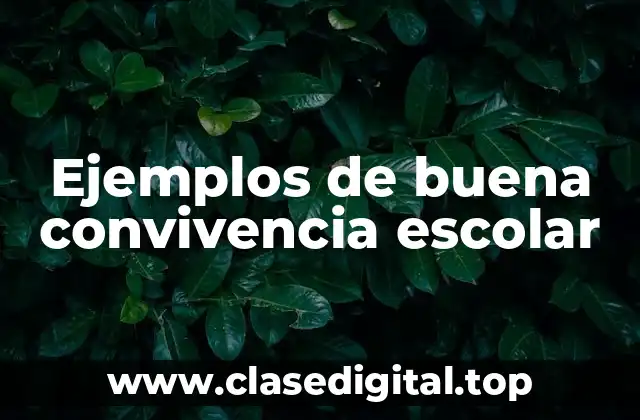 Ejemplos de buena convivencia escolar