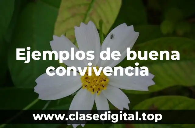 Ejemplos de buena convivencia