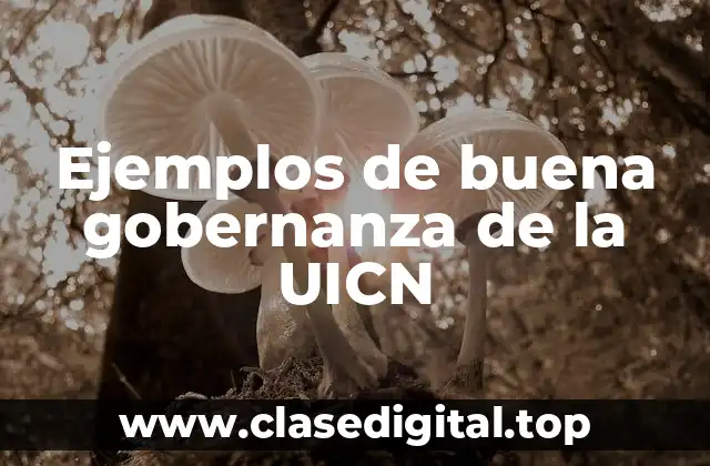 Ejemplos de buena gobernanza de la UICN