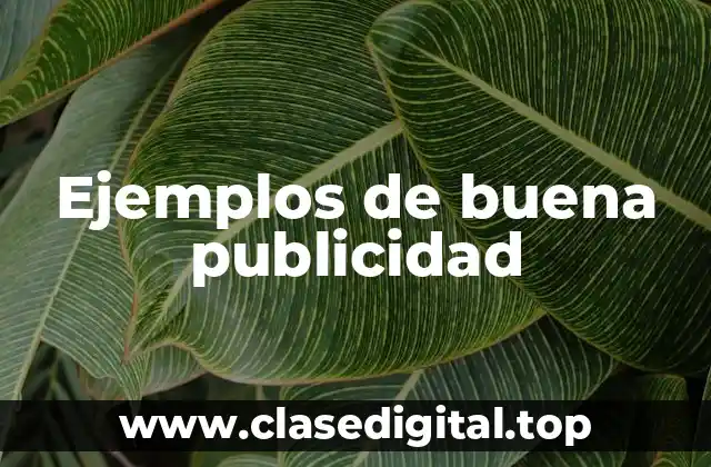 Ejemplos de buena publicidad