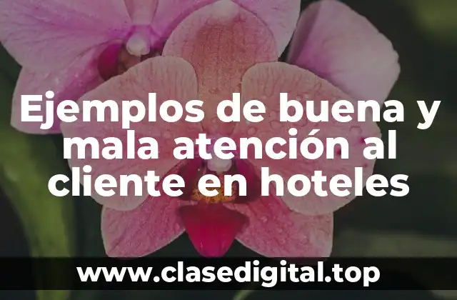 Ejemplos de buena y mala atención al cliente en hoteles