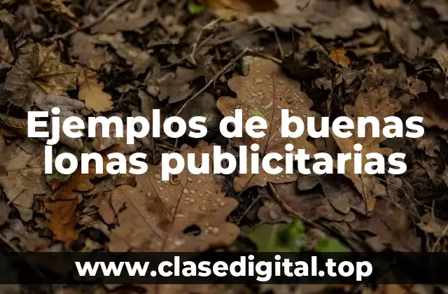 Ejemplos de buenas lonas publicitarias