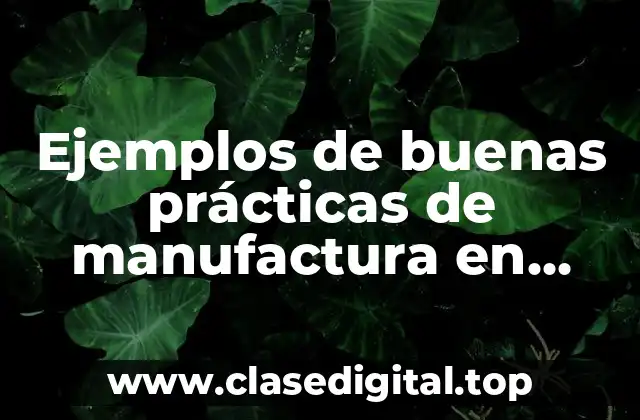Ejemplos de buenas prácticas de manufactura en alimentos