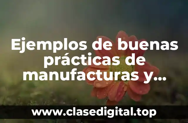 Ejemplos de buenas prácticas de manufacturas y Significado
