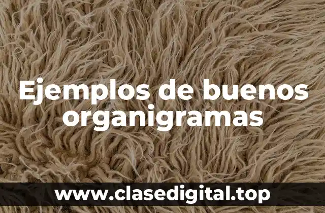 Ejemplos de buenos organigramas