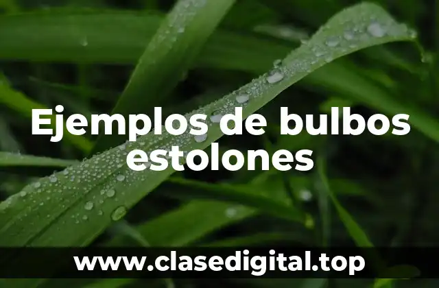 Ejemplos de bulbos estolones
