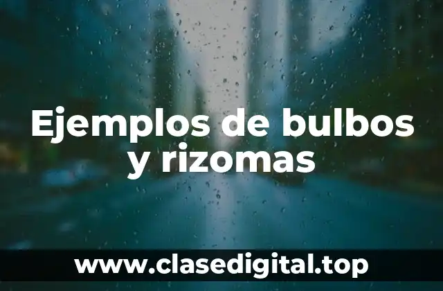 Ejemplos de bulbos y rizomas