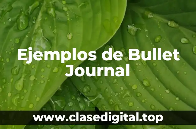 Ejemplos de Bullet Journal
