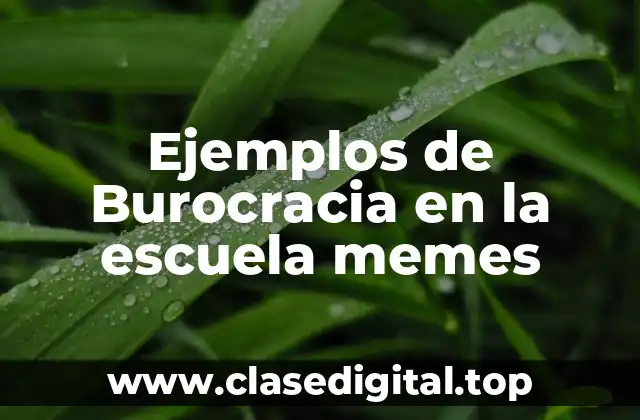 Ejemplos de Burocracia en la escuela memes