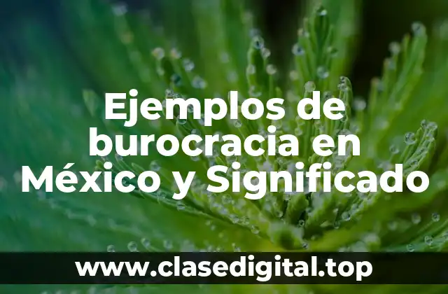 Ejemplos de burocracia en México y Significado
