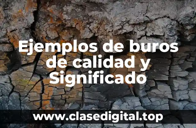 Ejemplos de buros de calidad