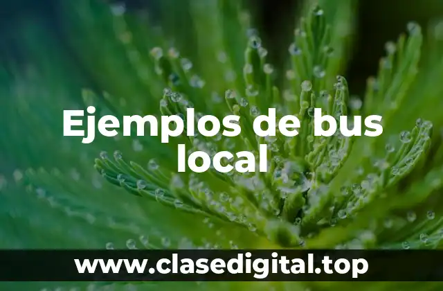Ejemplos de bus local