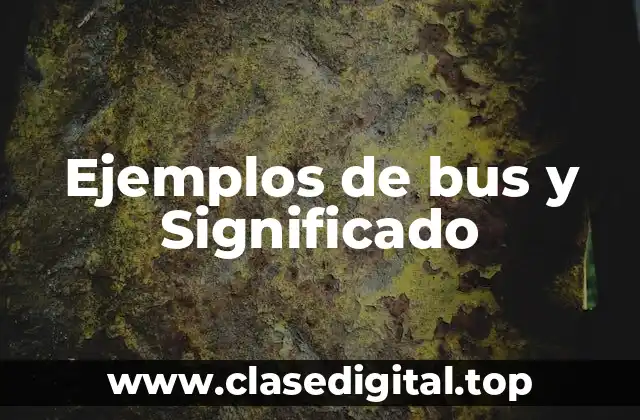 Ejemplos de bus y Significado