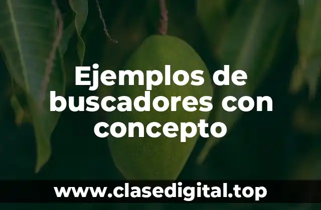 Ejemplos de buscadores con concepto