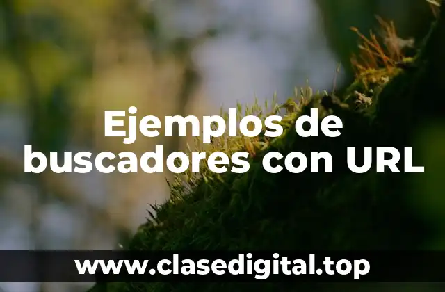 Ejemplos de buscadores con URL