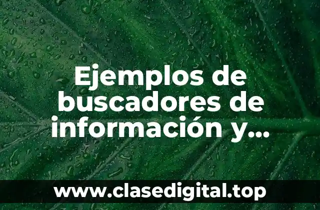 Ejemplos de buscadores de información y Significado
