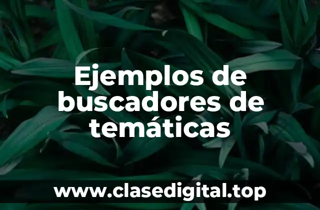 Ejemplos de buscadores de temáticas