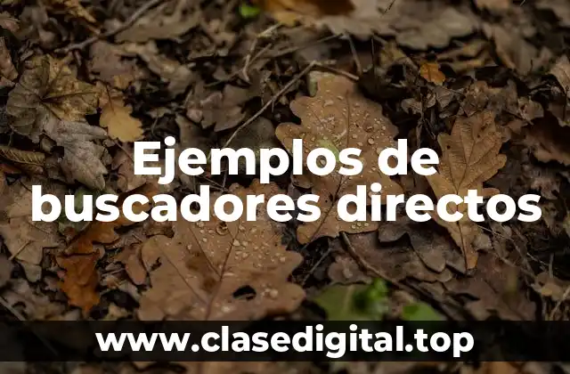 Ejemplos de buscadores directos