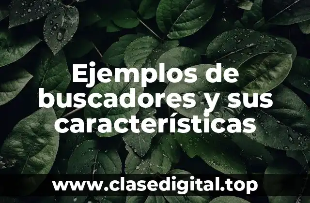 Ejemplos de buscadores y sus características