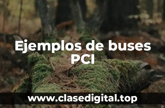 Ejemplos de buses PCI