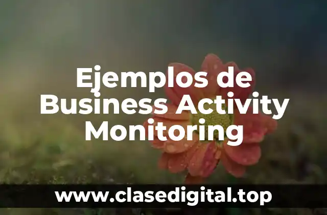 Ejemplos de Business Activity Monitoring