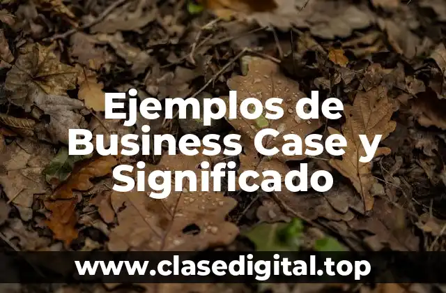 Ejemplos de Business Case y Significado