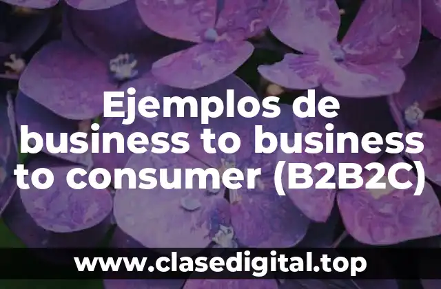 Ejemplos de business to business to consumer (B2B2C)