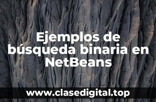 Ejemplos de búsqueda binaria en NetBeans
