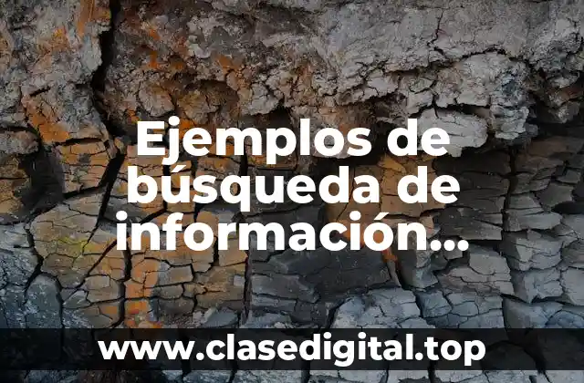Ejemplos de búsqueda de información argumentación
