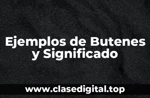 Ejemplos de Butenes y Significado