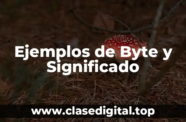 Ejemplos de Byte y Significado