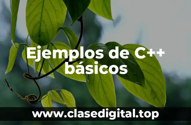 Ejemplos de C++ básicos