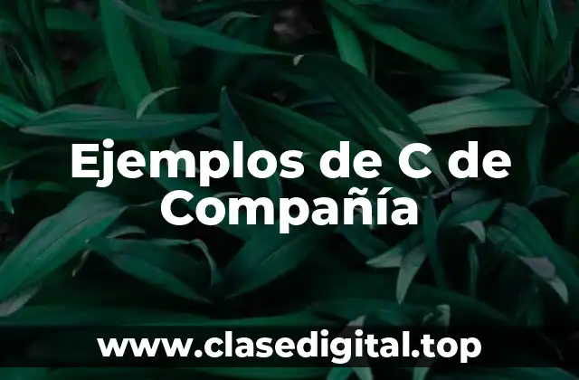 Ejemplos de C de Compañía