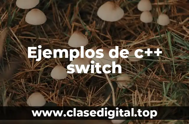 Ejemplos de c++ switch