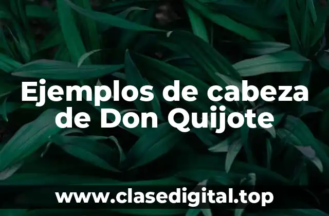 Ejemplos de cabeza de Don Quijote