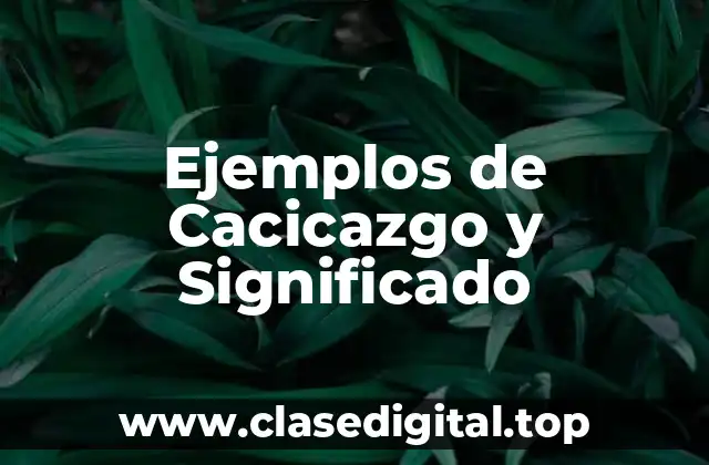 Ejemplos de Cacicazgo y Significado