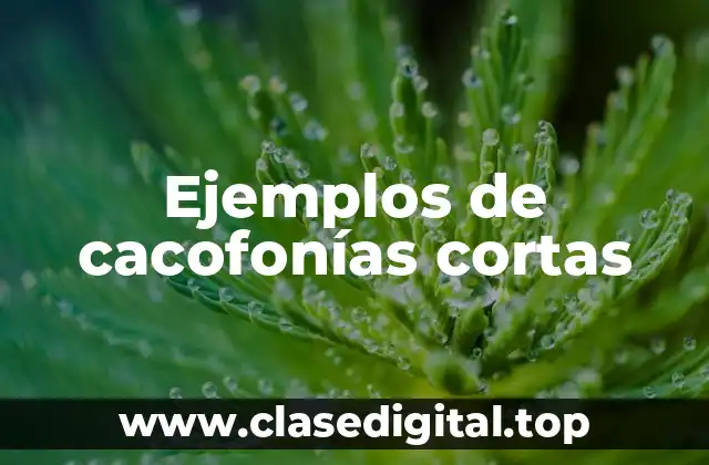 Ejemplos de cacofonías cortas