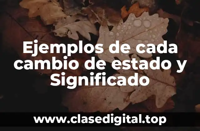 Ejemplos de cada cambio de estado y Significado
