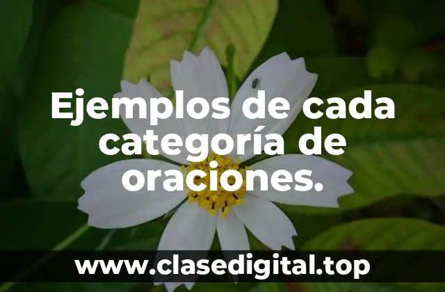 Ejemplos de cada categoría de oraciones.
